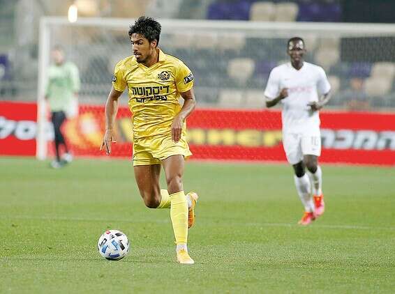 צילום: אלן שיבר