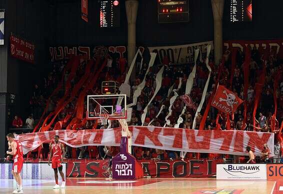 צילום: ברני ארדוב