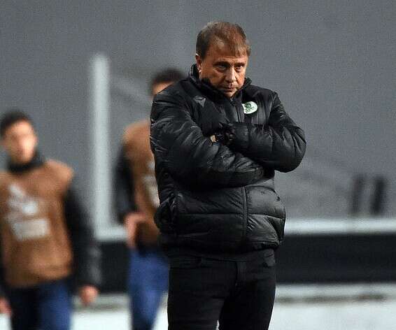 אלישע לוי // צילום: ברני ארדוב