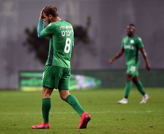 רייכרט // צילום: ברני ארדוב