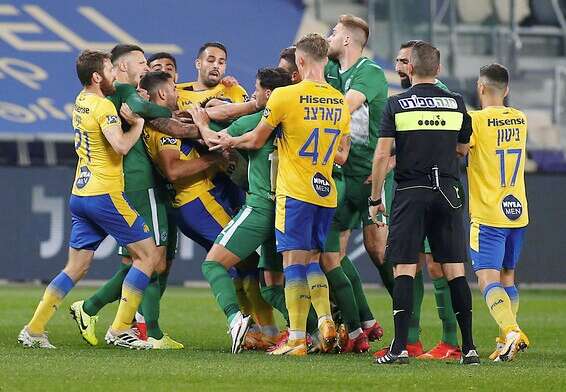 צילום: אלן שיבר