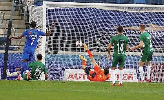 צילום: אלן שיבר