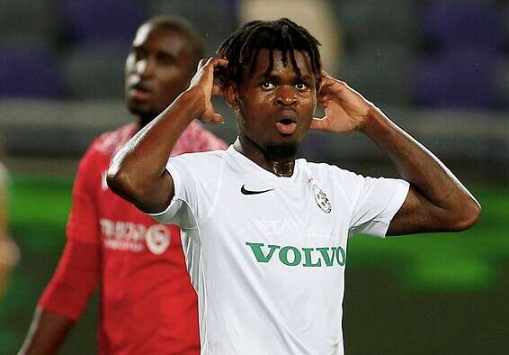 דוניו // צילום: אלן שיבר