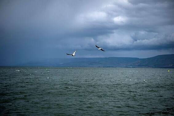 הכנרת // צילום: גיל אליהו - ג'יני