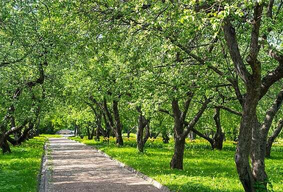 כדור בהתעוררות // צילום: GettyImages