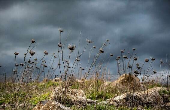 בסופ"ש הטמפרטורות ירדו // צילום: גיל אליהו - ג'יני