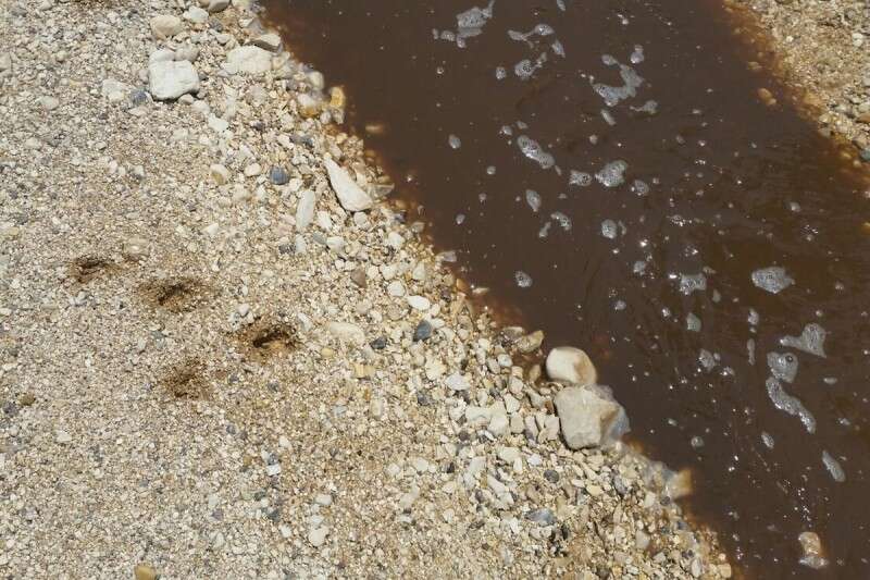 חומצה זורמת בערוץ הנחל // צילום בועז פרייפלד, רשות הטבע והגנים