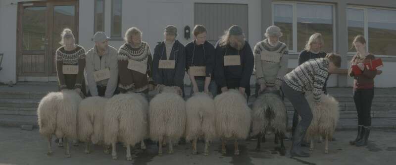 "איילים" בין כבשים לבני אדם