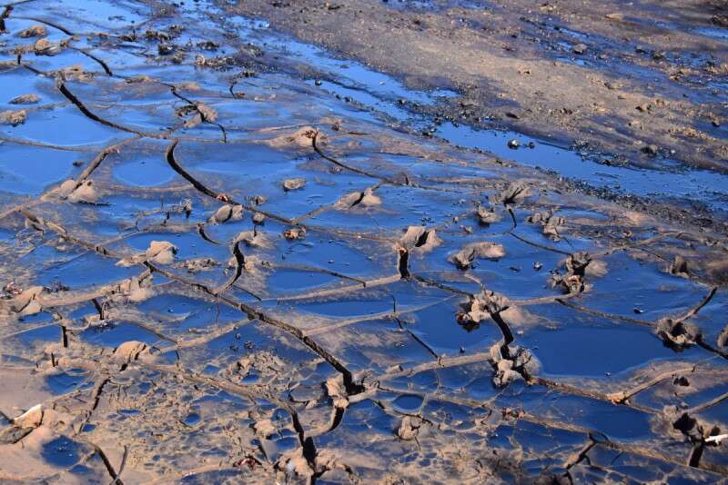 הזיהום בעין עברונה // צילום: יהדוה בן יתח