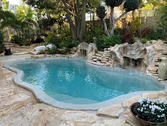 שכשוכית מבית חברת אגמית