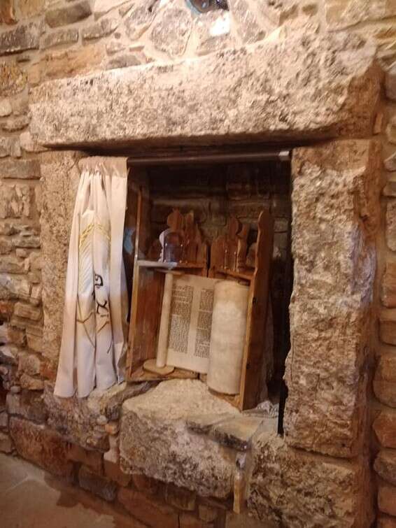 "הסבירו לי שזה לא יצליח" // צילום: עשהאל מרדכי