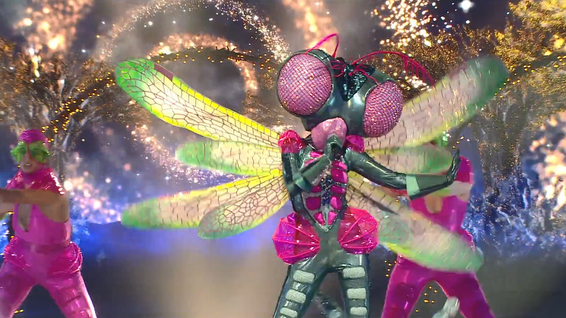 עבד עליה עד הרגע האחרון. השפירית // צילום: ערן לוי