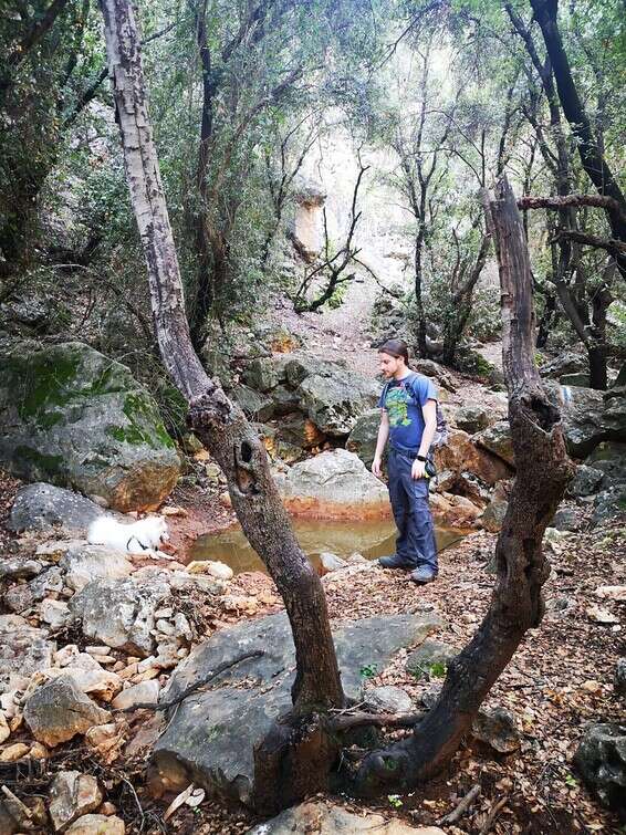 נחל קדש - מסלול מרשים ומוצל ברובו, למטיבי לכת.