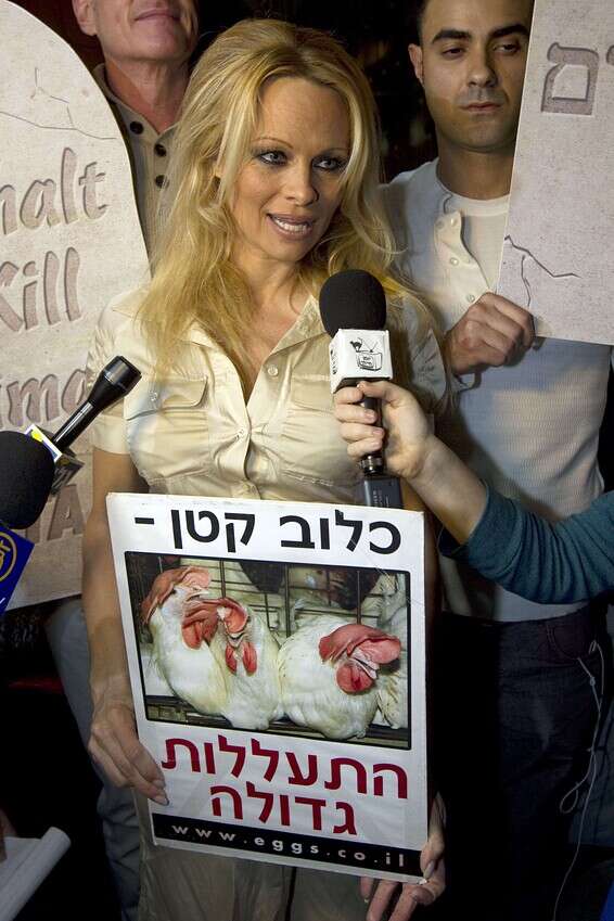 מקום מיוחד לישראל בליבה. פמלה אנדרסון // צילום: AFP