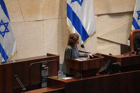 ח"כ זנדברג // צילום: דני שם טוב, דוברות הכנסת