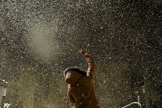 פתיתים משמחים // צילום: GettyImages