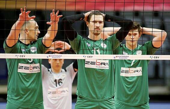 צילום: אלן שיבר