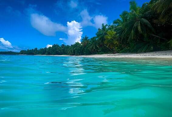 צילום: עמי שומן