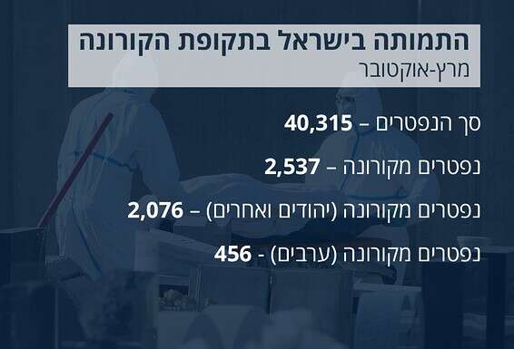 נתוני הלמ"ס // צילום: יוסי זליגר