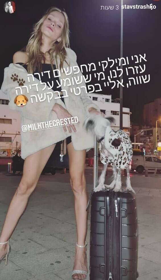 הסטורי של סתיו // צילום מסך, מתוך האינסטגרם