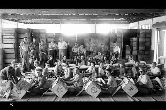 צילום: דניאל קלפן, לע"מ