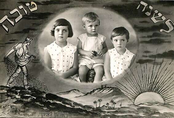 צילום באדיבות ניצה וולפנזון, חיפה