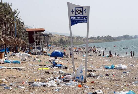 אשפה בחוף הכנרת (צילום מ־2010). דרושים קנסות דרקוניים על טינוף הטבע // צילום: גיל אליהו