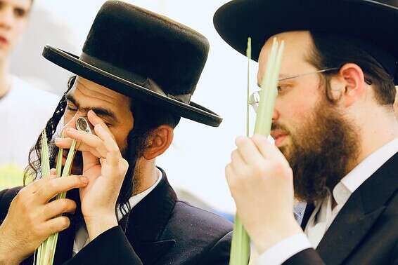 שווקי ארבעת המינים עלולים להיות מסוכנים // צילום: אורן כהן