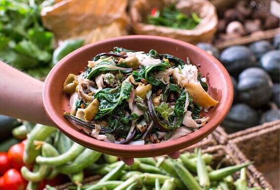 עושה שימוש בכל מה שמסביב. סלט קרעי עוף, מנגולד ושעורה קלויה // צילום: איתיאל ציון