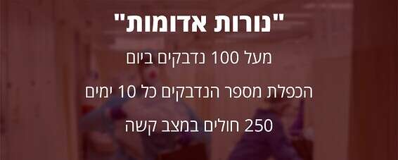 צילום: מישל דוט קום