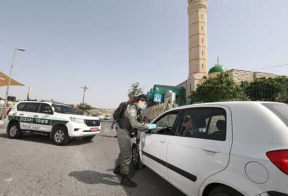 הדס בפעילות שוטפת // צילום: צחי מרים