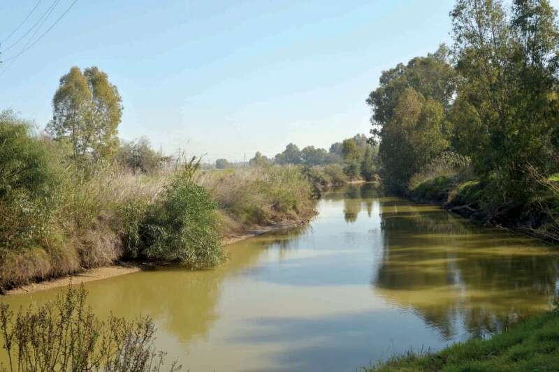 שמורת ביצת שורק. אם יתמזל מזלכם תוכלו לראות חזירי בר, תנים וצבים // צילום: יוסי זליגר