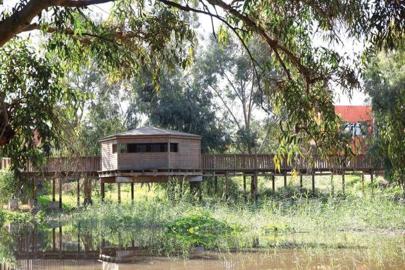 פארק שלולית החורף בשפיר. גשרוני עץ ותצפית על המים // צילום: לירון אלמוג