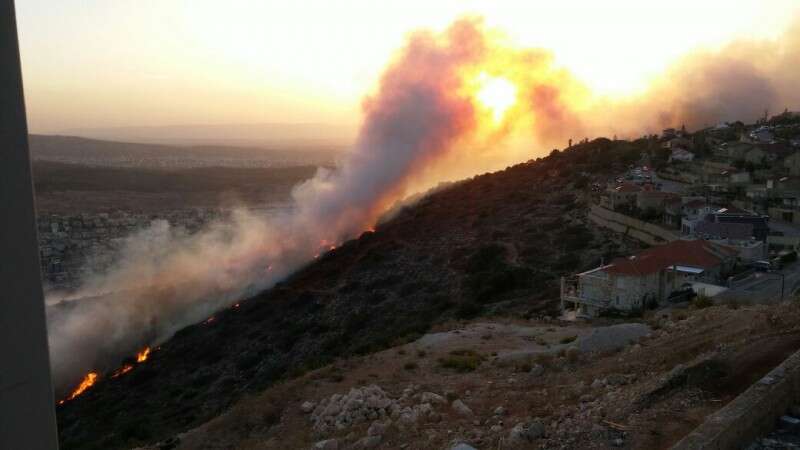 השרפה במשגב // צילום: כבאות הצפון