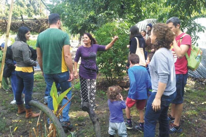 מגוון פעילויות לחג במועצה האזורית מנשה