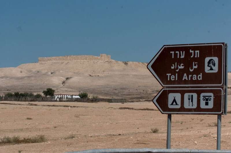 פעוטה נשכחה ברכב בתל ערד // צילום: דודו גרינשפן