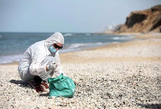 ממה יש להיות מופתעים? ניקוי זפת בחופים