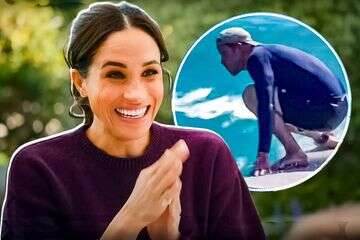 מייגן מפתיעה: הארי על הגל – "שועל בים"