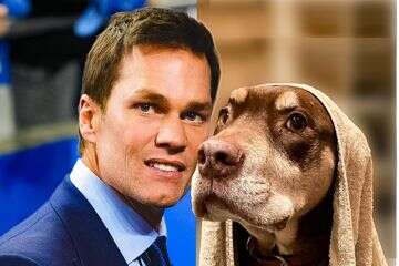 מפורסם־העל שיבט את הכלבה שלו