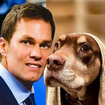 מפורסם־העל שיבט את הכלבה שלו