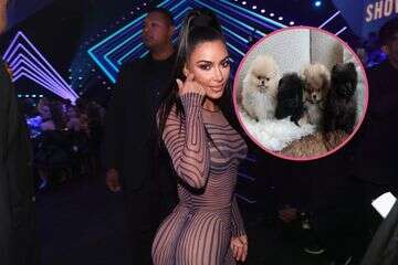 המתנה של אמא קרדשיאן: פומרניאן קנוי לכל ילד