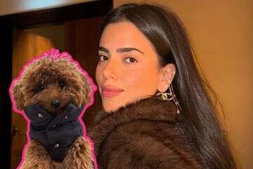 שוב: אור לו מלבישה את הכלבה בסכום אסטרונומי