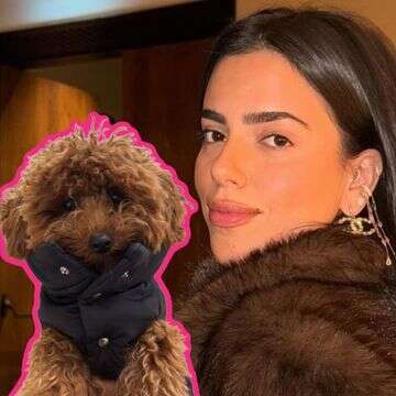 שוב: אור לו מלבישה את הכלבה בסכום אסטרונומי